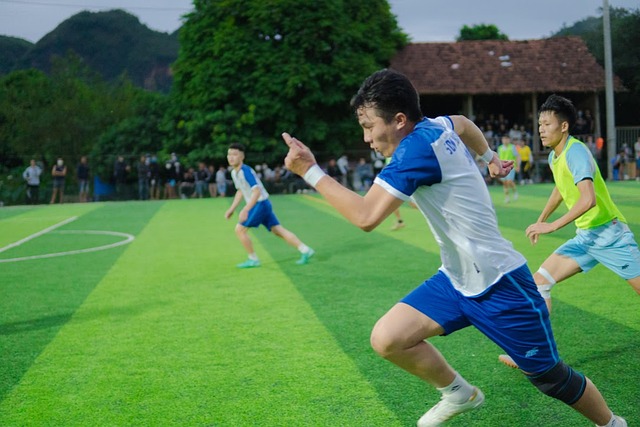能够帮助教